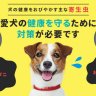 Japanese Online Pet Store n-d-f.com Database Dump Leaked Download!